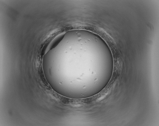 X0000110911157200907091430