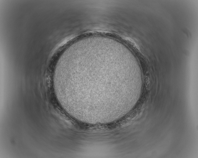 X0000110911159200907091430