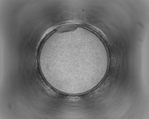 X0000110911168200907091430