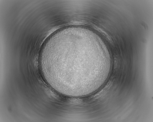 X0000110911170200907091430