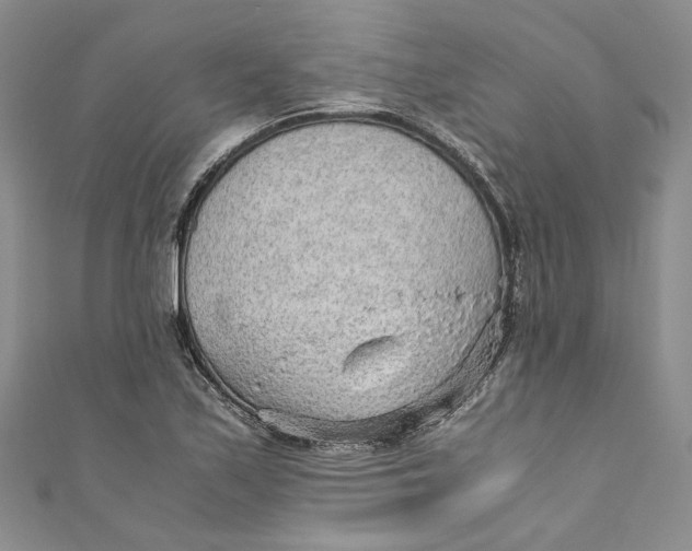 X0000110911171200907091430