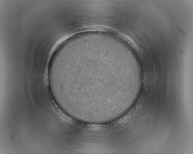 X0000110911172200907091430