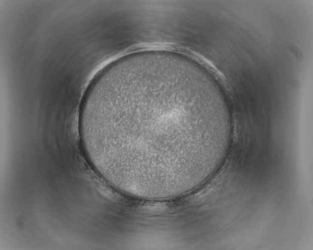 X0000110911174200907091430