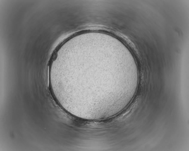 X0000110911175200907091430