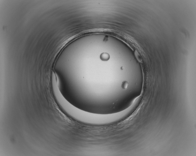 X0000110911177200907091430