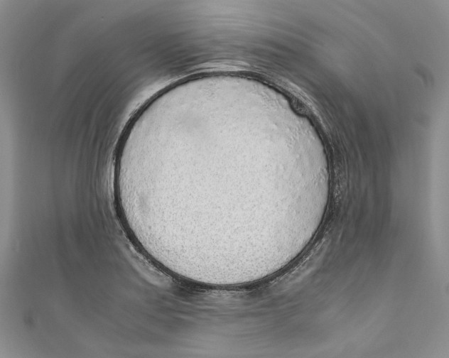 X0000110911179200907091430