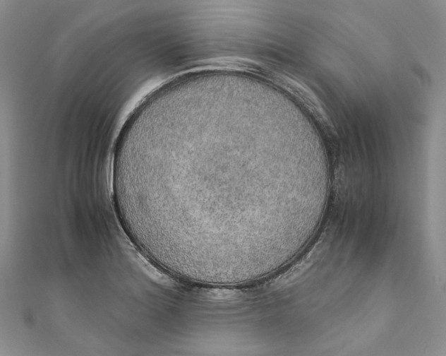 X0000110911180200907091430