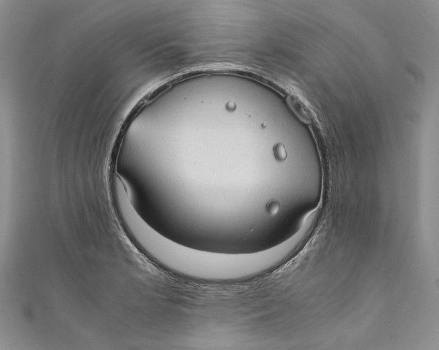 X0000110911181200907091430