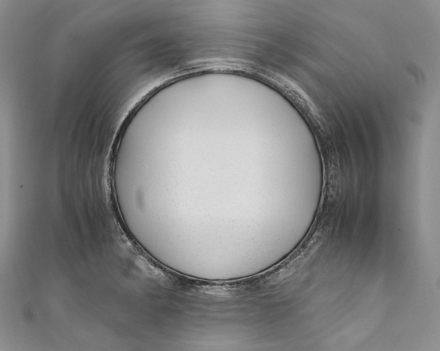 X0000110911182200907091430