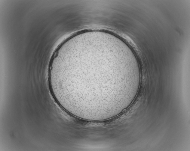 X0000110911183200907091430