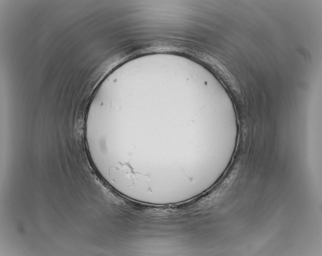 X0000110911185200907091430