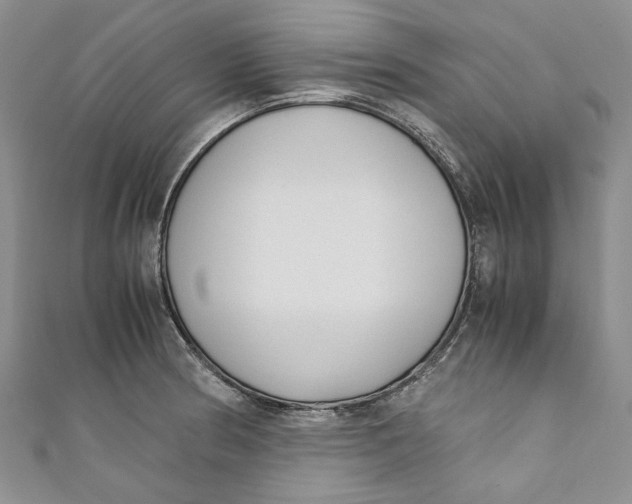 X0000110911186200907091430