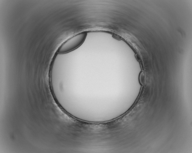 X0000110911189200907091430