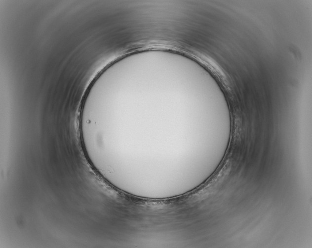 X0000110911190200907091430