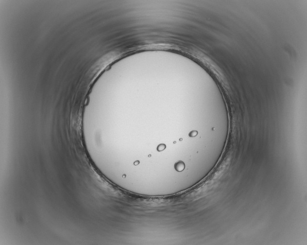 X0000110911193200907091430