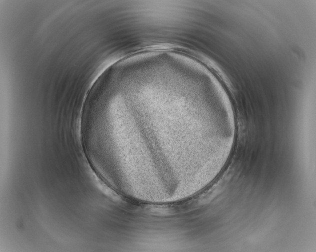 X0000110911194200907091430