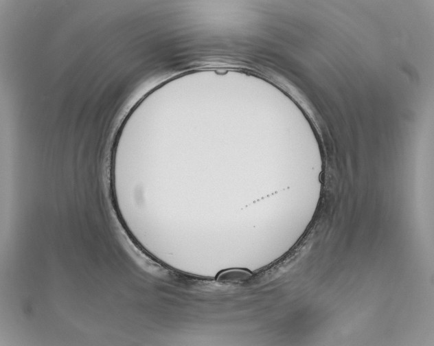 X0000110911195200907091430