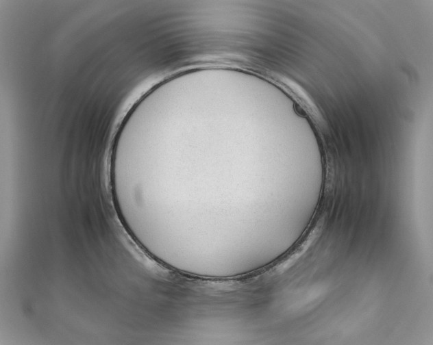 X0000110911196200907091430