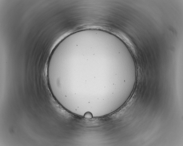 X0000110911198200907091430