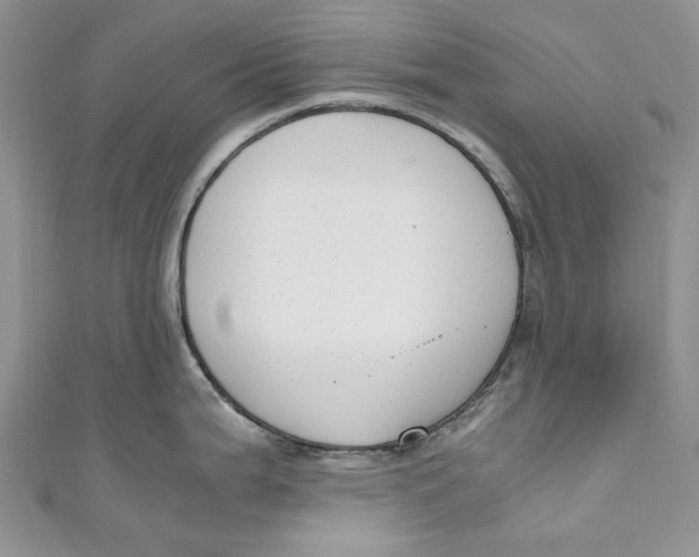 X0000110911199200907091430