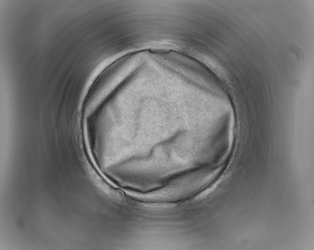 X0000110911200200907091430