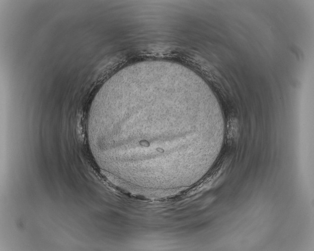 X0000110911202200907091429