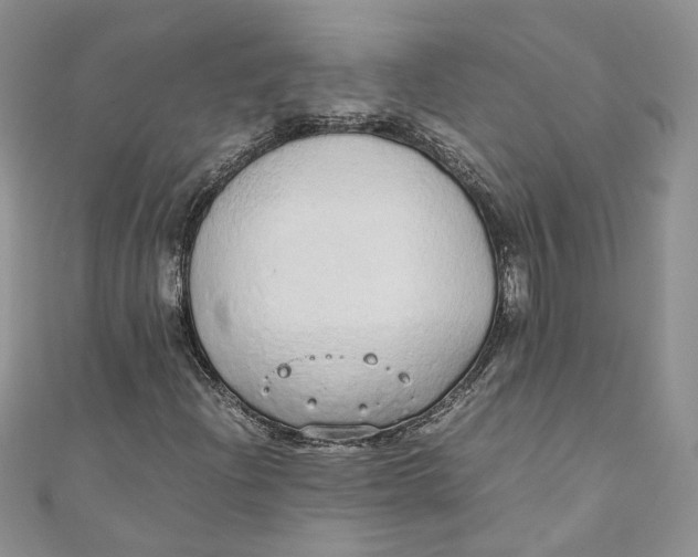 X0000110911204200907091429