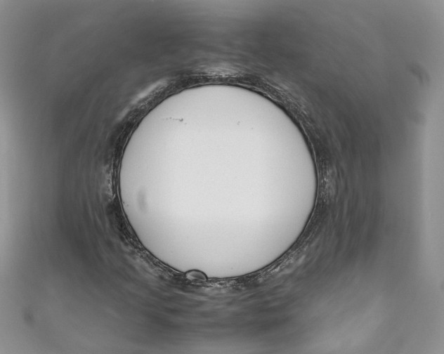 X0000110911205200907091429