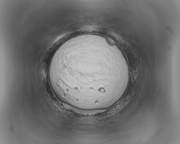 X0000110911206200907091429