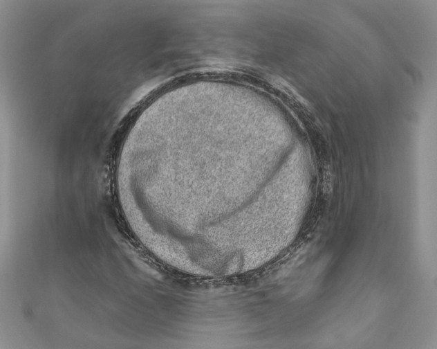 X0000110911208200907091429