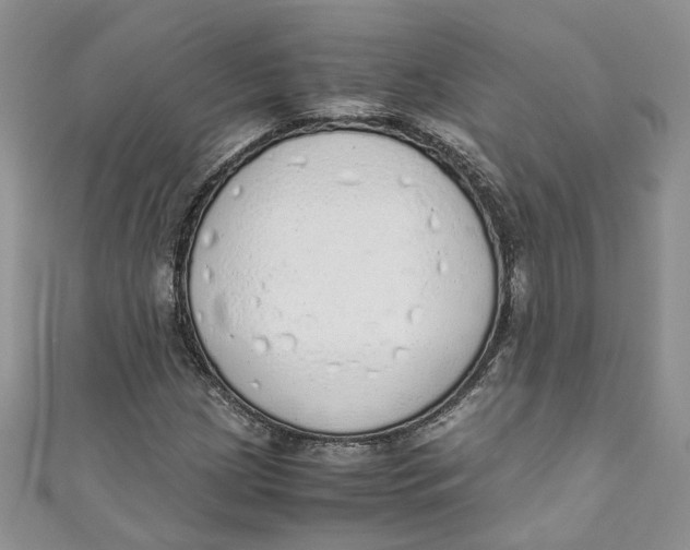 X0000110911209200907091429