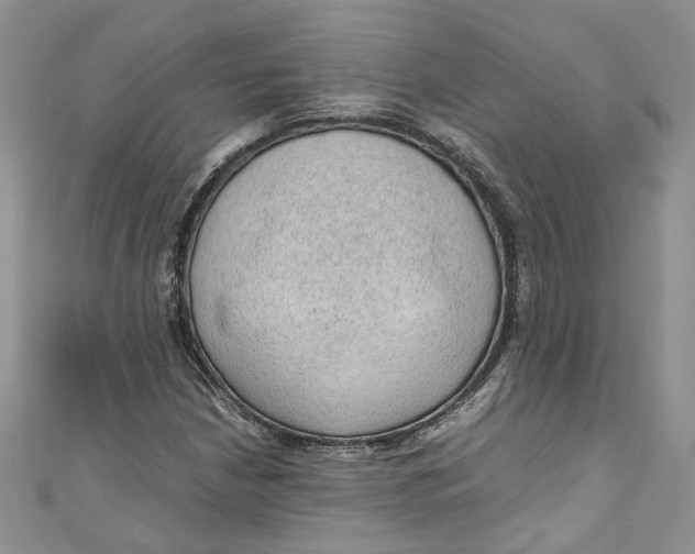 X0000110911210200907091429