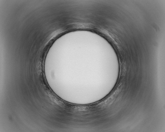 X0000110911211200907091429