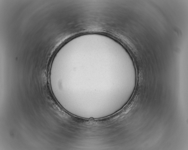 X0000110911212200907091429