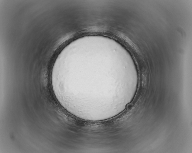 X0000110911213200907091429