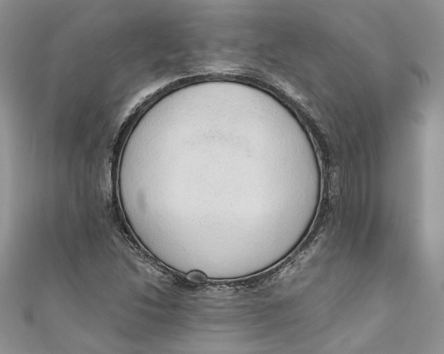 X0000110911214200907091429