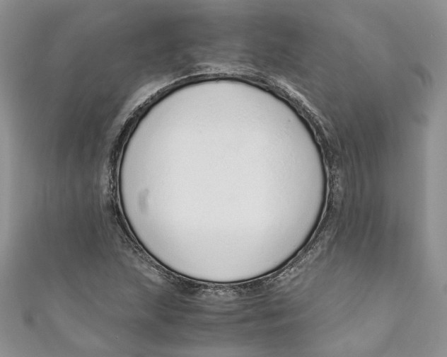 X0000110911215200907091429