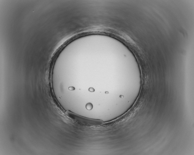 X0000110911216200907091429