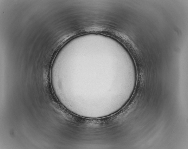 X0000110911217200907091429