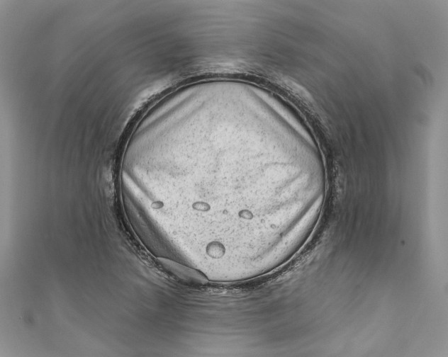 X0000110911218200907091430