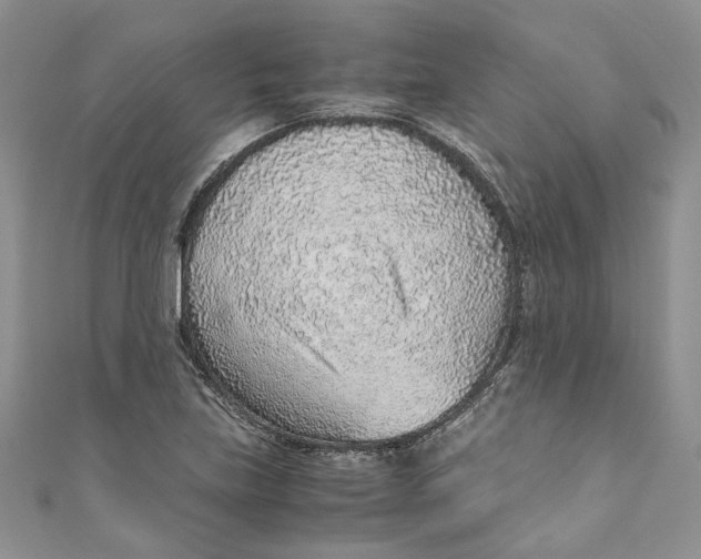 X0000110911219200907091430