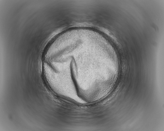 X0000110911221200907091430