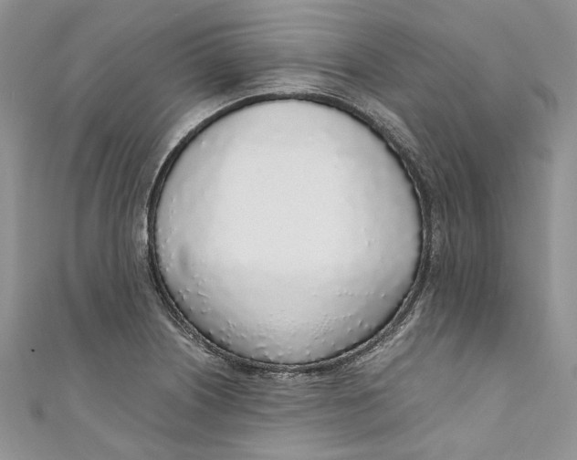 X0000110911226200907091430