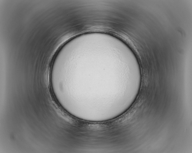 X0000110911227200907091430