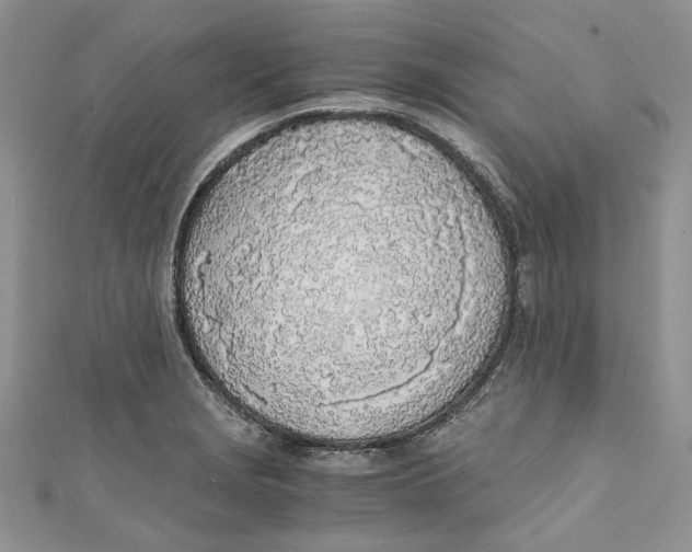 X0000110911229200907091430