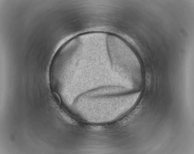 X0000110911230200907091430