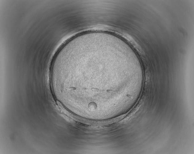 X0000110911232200907091430