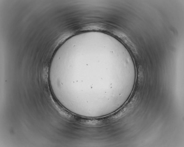 X0000110911233200907091430