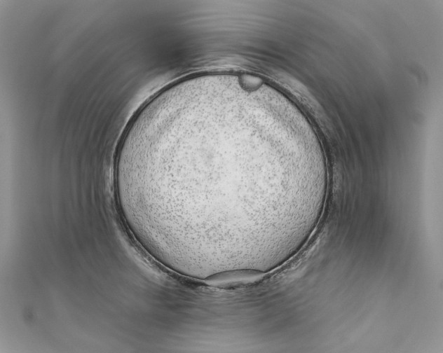 X0000110911234200907091430