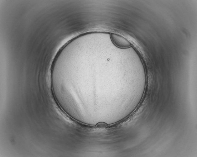 X0000110911238200907091430